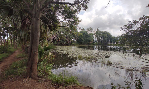 A-pond-near-Bakreswar-Dam-Durgapur-Hub